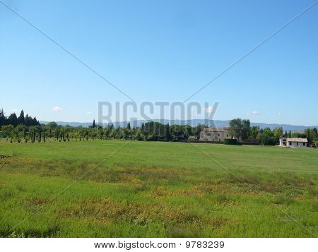 Wiese In einem Tal