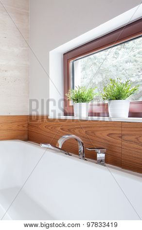 Bathtub With Silver Tap