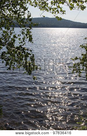 Lake Eaton Trees and Shimmering Lake - Adirondack Mountains