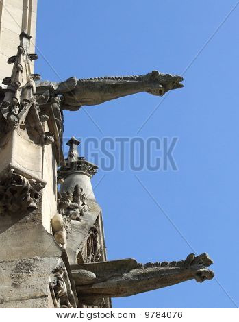 Paris Gargoyles