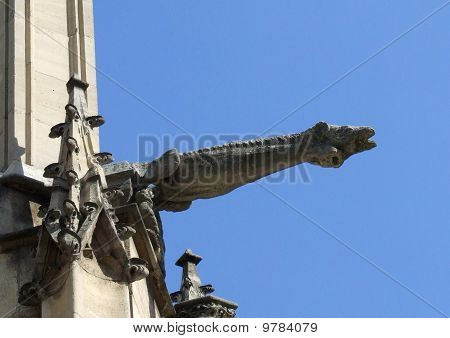 Paris Gargoyles