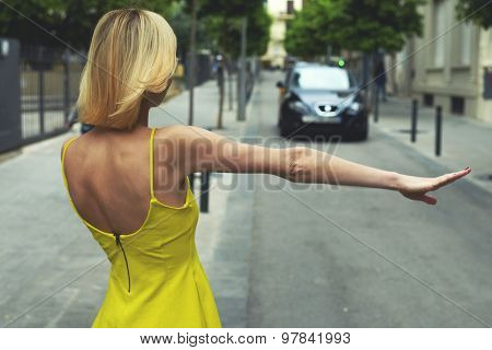 Back view young businesswoman calling taxi auto standing on the road with trees