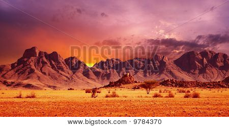 Deserto del Namib