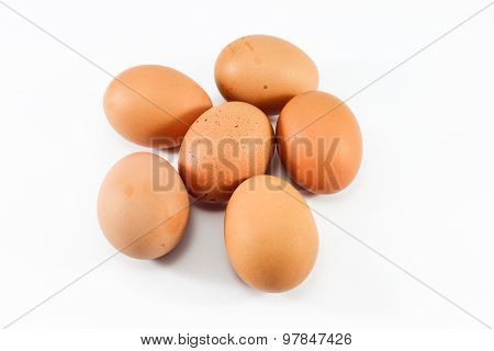 Egg