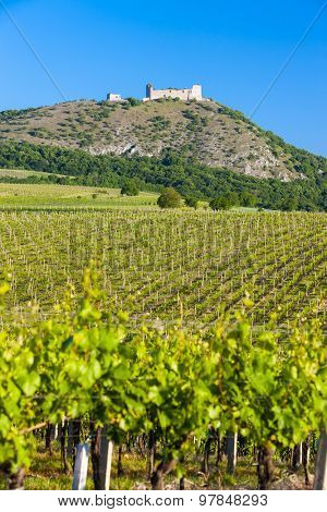 ruins of Devicky Castle with vineyards, Czech Republic