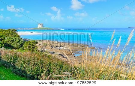 Aragonese Tower In La Pelosa Beach