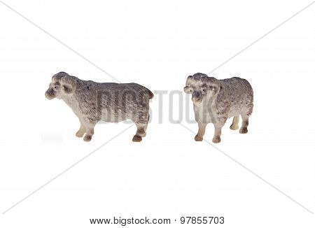 Isolated sheep toy