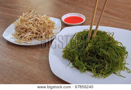 Seaweed Salad