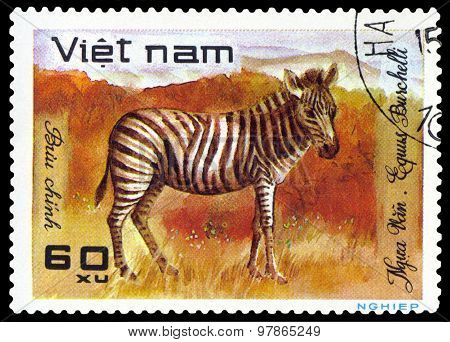 Vintage  Postage Stamp.  Zebra.