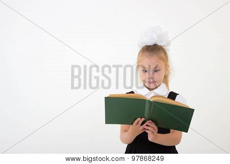 Little Girl Reading Book, Preparing For School, Isolated