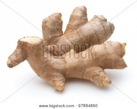 Fresh ginger root or rhizome isolated on white background cutout