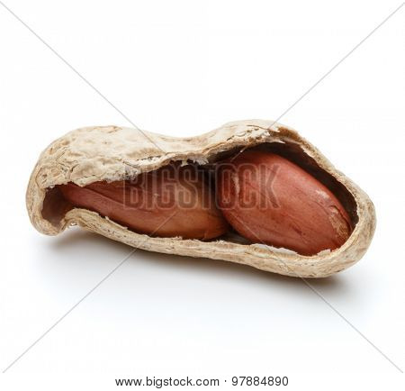peanut pod or arachis isolated on white background cutout