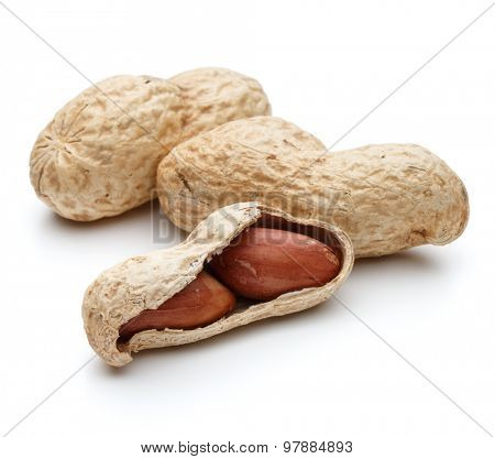 peanut pod or arachis isolated on white background cutout