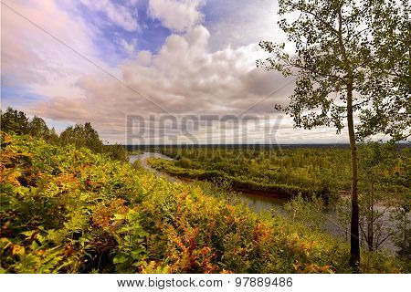 ..autumn Condition In The Forest