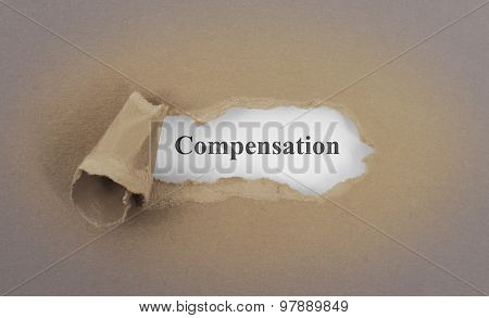 Text Appearing Behind Torn Brown Envelop
