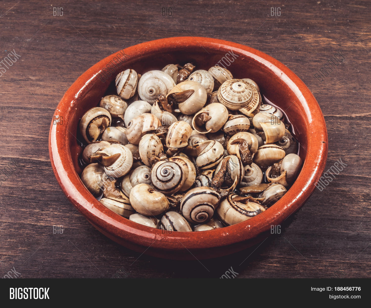 Cooked Snails Image & Photo (Free Trial) Bigstock