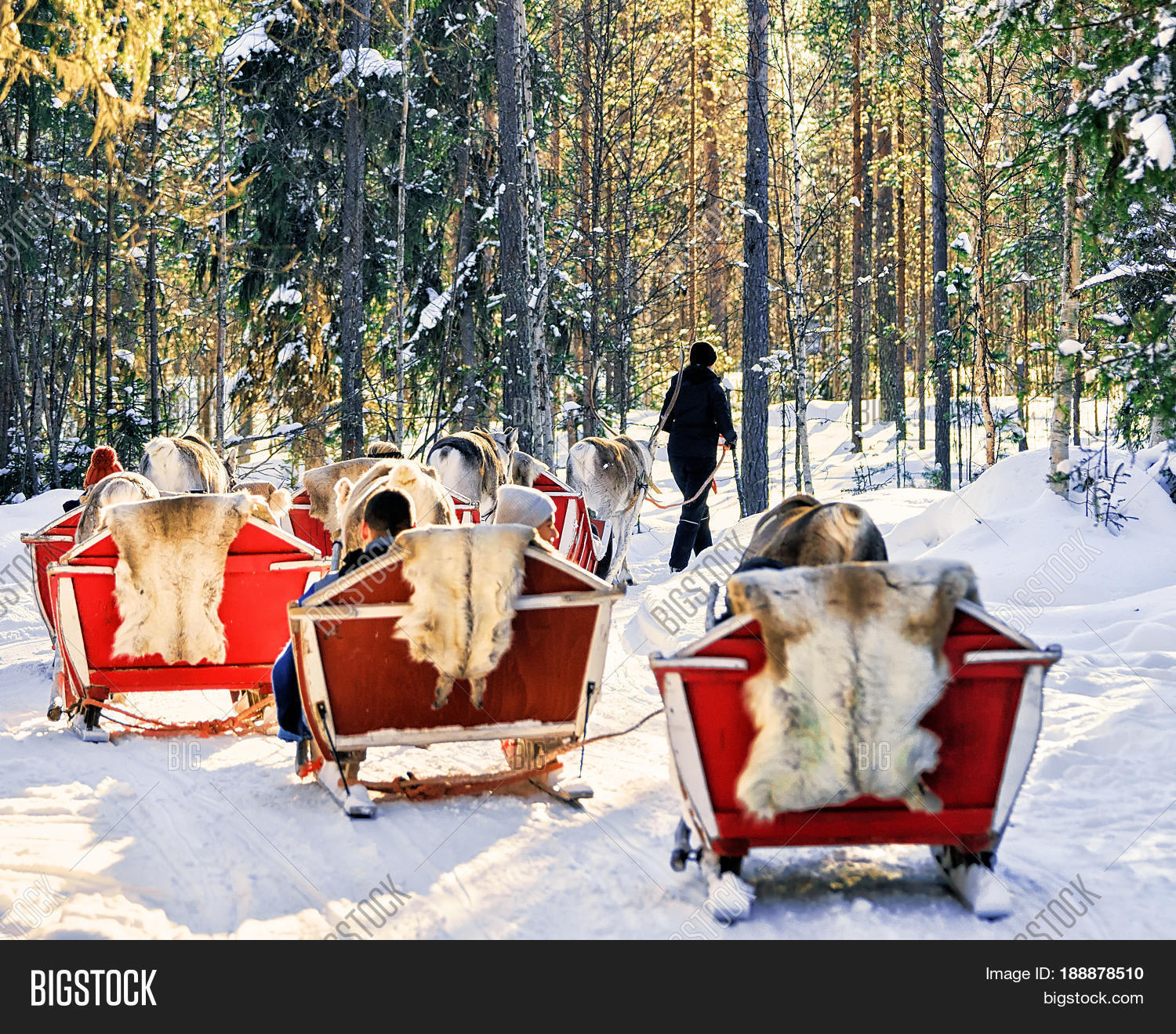 People Reindeer Sled Image & Photo (Free Trial) Bigstock