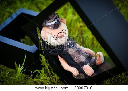 Little teddy bear with cute hat and umbrella
