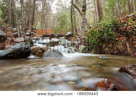 Peaceful Beautiful Scenic Stream In The Mountains