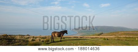 Exmoor national park with pony towards Porlock Somerset coast panoramic view