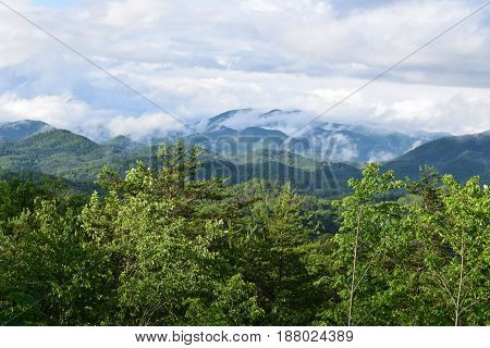 Tsali mountain area with low clouds and trees