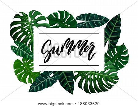 Summer brush lettering. Vocation cards, banners, posters design. Green palm tropical leaves frame background. Handwritten modern brush pen calligraphy. Vector illustration stock vector.