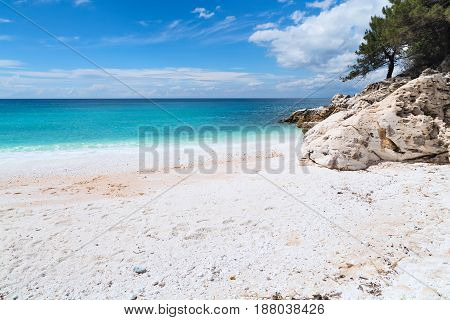 Panorama seascape with greek Marble Beach in Thassos Island, Greece with turquoise water and pine trees