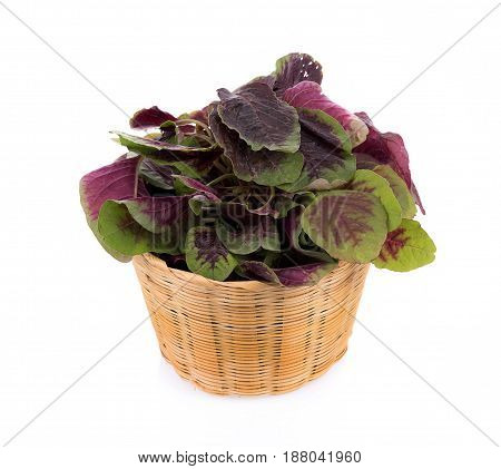 Closeup red spinach isolated on white background