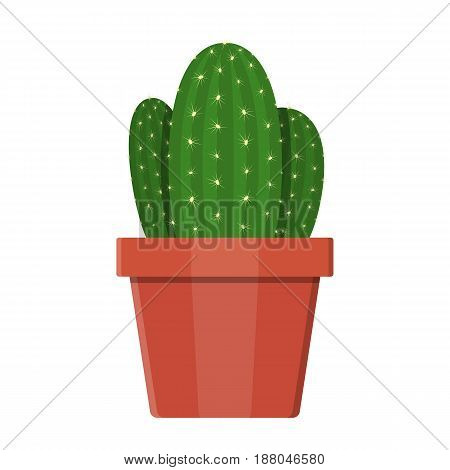 Cactus plant in flower pot. Decoration home plant. Vector illustration in flat style