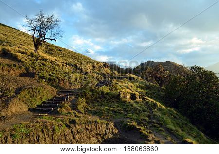 Mountain road way track in valley and snow peak. Morning, spring. Nepal landscape, Annapurna region, Mardi Himal track.