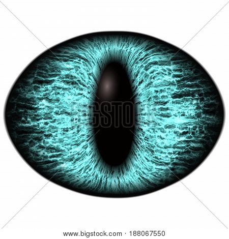 Strange Blue Eye Of Feline Animal With Colored Iris. Detail View Into Isolated Predator Eye Bulb