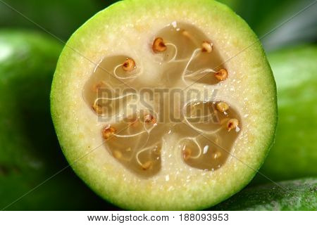 Green exotic fruit feijoa, a healthy and juicy product