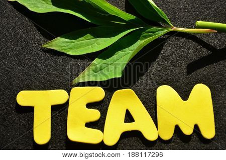 word team on a  abstract colorful background