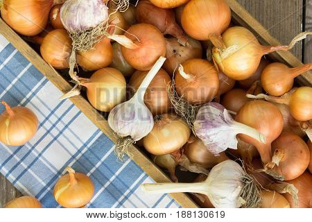 Close-up organic onion garlic bulbs and garlic cloves on wodeen background. . bulbs. Onion Garlic cloves on wooden vintage door.flat lay style