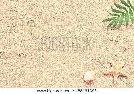 Sea sand with starfish and shells. Top view with copy space.