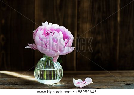 Fresh Bunch Of Pink Peonies