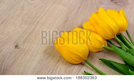 Yellow Tulips On A Wooden Table, Easter Background