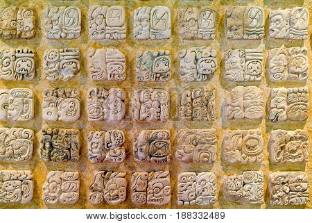 Relief Detail Of The Mayan Temple Ruins At Palenque