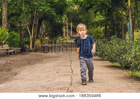 A Boy Walks In A Tropical Park