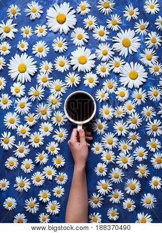 Hello summer. A cup of coffee in a woman's hand on a blue background with chamomile or daisies. The concept of the arrival of summer mood and heat. Creative food background. Flat lay composition.