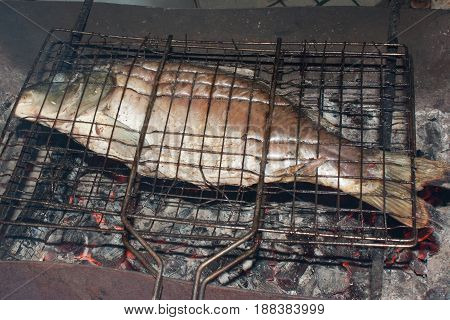 Carp fish on charcoal grilles filmed in the evening