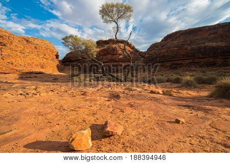 Dry landscape of the Northern Territory the red centre of outback Australia.