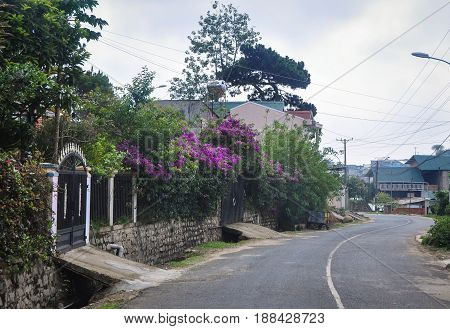 Mountain Road In Dalat, Vietnam