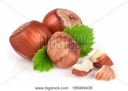 Hazelnuts with leaves isolated on white background.