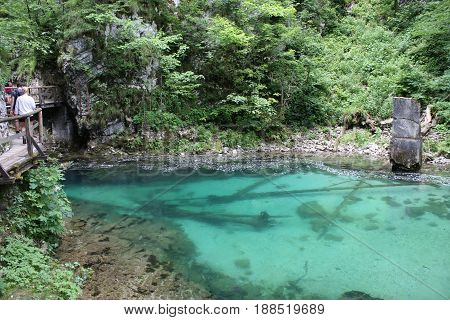 River Radovna flowing through Blejski Vintgar gorge in winter, Slovenia