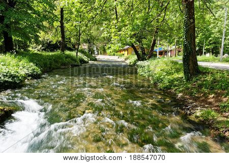 River Vrelo, right tributary of the river Drina in the settlement of Perucac, only 365 meters long