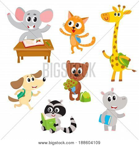 Cute little animal students, characters studying, reading, going to school, cartoon vector illustration isolated on a white background. Little baby animal students with backpacks and books, studying