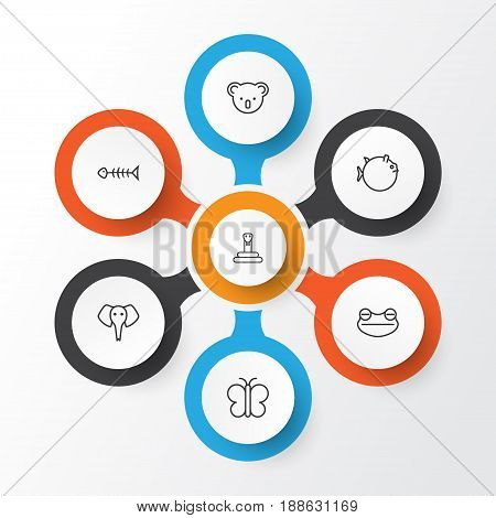 Zoo Icons Set. Collection Of Seafood Skeleton, Serpent, Toad And Other Elements. Also Includes Symbols Such As Toad, Butterfly, Trunked.