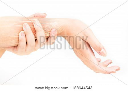 wrist muscle injury white background wrist pain