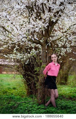 Young Beautiful Girl In A Pink Shirt Standing Under Blossoming Apple Tree And Enjoying A Sunny Day.
